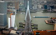 Rotterdam is een stad met een bewogen geschiedenis. Ze is wat de twintigste eeuw betreft getekend door het bombardement in 1940 en mag zich nu beroemen op moderne architectuur die internationale faam geniet, zoals de Erasmusbrug (foto) en de kubuswoningen