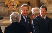 David Cameron. beeld AFP