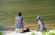 Een vrouw zoekt met haar hond verkoeling in de Waal. beeld ANP