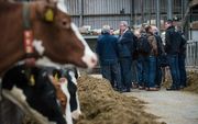 SGP-Kamerlid Dijkgraaf tijdens een politieke bijeenkomst op vrijdag 17 februari op melkveebedrijf Dunnink te Staphorst. beeld Cees Elzenga/hetoog.nl