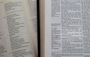 Bijbel en koran. beeld RD, Anton Dommerholt