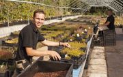 Volgens Evert van Hoef kan een heidetuin bij goede verzorging wel twintig jaar mee. Zijn kwekerij heeft 1400 varianten heideplanten leverbaar.  Foto André Dorst