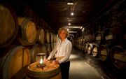 Het wijnhuis Robbers & van den Hoogen in Arnhem, dat wijn verkoopt aan particulieren en bedrijven, bestaat 170 jaar. Adjunct-directeur Astrid Donders: „Wij proberen mensen kennis te laten maken met wijn en met ons bedrijf.” Foto RD, Henk Visscher