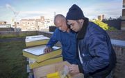 Jan (r.) en begeleider Fred Schattevoet inspecteren het suikerwater in een bijenkast op het dak van het stadhuis in Nijmegen. Het maakt onderdeel uit van een arbeidstherapieproject van de Gelderse verslavingszorginstelling IrisZorg. beeld Erik van ’t Hull