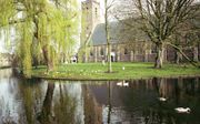 De hervormde kerk van Dirksland. Foto Wim van Vossen