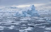 Afgelopen jaar werd een recordhoeveelheid zee-ijs gemeten rond Antarctica. Tegen het einde van het winterseizoen bereikte dat een oppervlakte van ruim 20 miljoen vierkante kilometer. Onderzoekers denken dat dit fenomeen een indirect gevolg is van het afsm