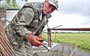 Beroepsvisser Ad Berkouwer vreest voor de gevolgen van de explosieve toename van zoetwaterkreeften in de Krimpenerwaard. beeld Dick den Braber