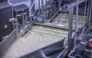 Aardappelpartjes in de chipsfabriek worden gewassen. beeld Pepsico