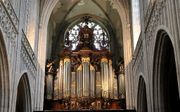 Het Schyvenorgel in de kathedraal van Antwerpen. beeld Evert-Jan van der Leij