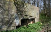 De Duitse bunker. beeld Bezoekerscentrum Grebbelinie