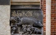 De Jodenzeug op de muur van de Stadskerk in Wittenberg. beeld EPD, Norbert Neetz