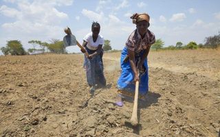 Vrouwen op het platteland van Malawi bezig met het bewerken van de grond op hun akker. beeld Jaco Klamer
