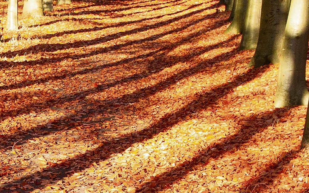 Meditatie: Zachtmoedig, meer dan alle mensen