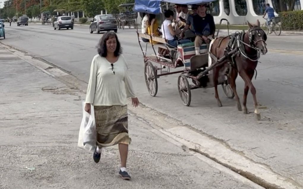 Zo op het eerste gezicht niets bijzonders: een vrouw die boodschappen doet. Maar even later zou dat veranderen. beeld RD