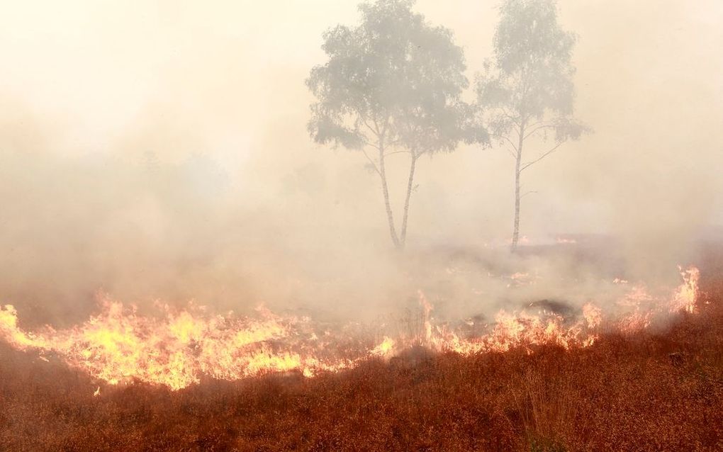 Een brand verwoestte vrijdagavond 150 hectare natuur van de Stabrechtse heide. Foto ANP