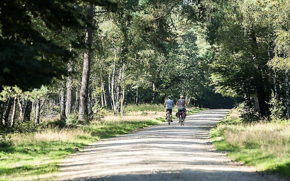 Fietsers op Kroondomein Het Loo. De koning mag het gebied niet meer maanden per jaar afsluiten, als hij de subsidie van het Rijk voor het onderhoud van het Veluwse natuurgebied wil behouden. beeld ANP, Jeroen Jumelet