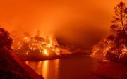 Bosbranden in Californië, augustus 2020. beeld AFP, Josh Edelson
