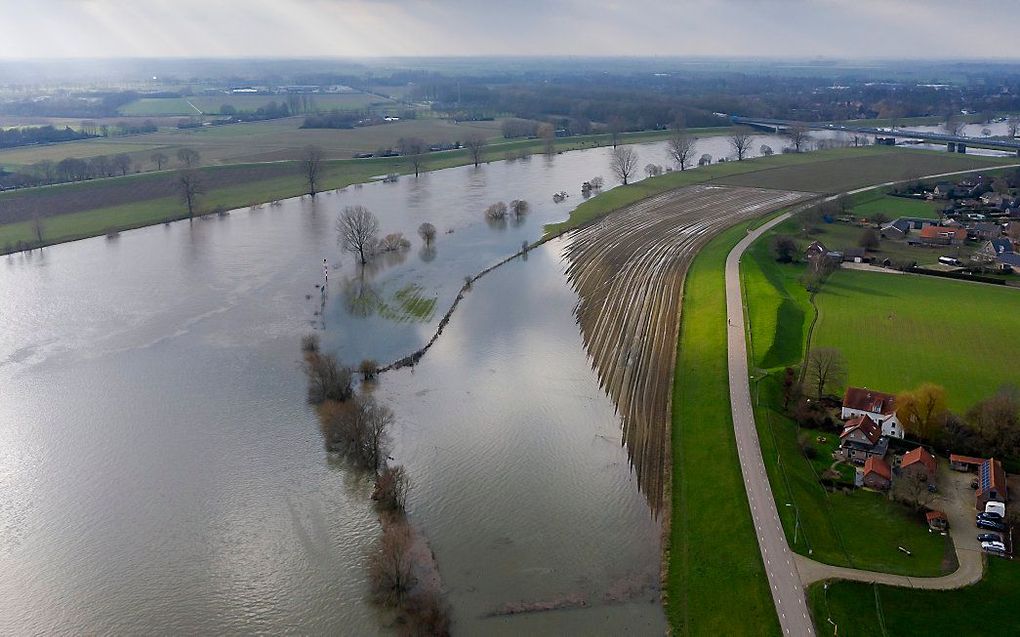 Hoog water in de Maas bij Wijchen. beeld ANP