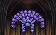 Het orgel in de Notre-Dame in Parijs. beeld Wikimedia
