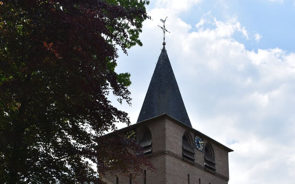 De Monulphus en Gondulphuskerk in Knegsel. beeld Wikimedia