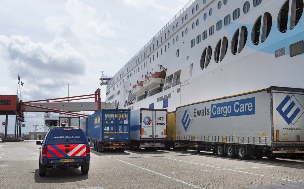 Veel transporteurs zijn er bang voor na een no-deal-brexit: lange wachttijden in de havens, zoals in Hoek van Holland (foto). beeld ANP, Lex van Lieshout