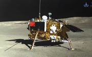 Katoenzaadjes die door de ruimtesonde Chang’e-4 naar de maan zijn gebracht zijn uitgekomen.  beeld CNSA