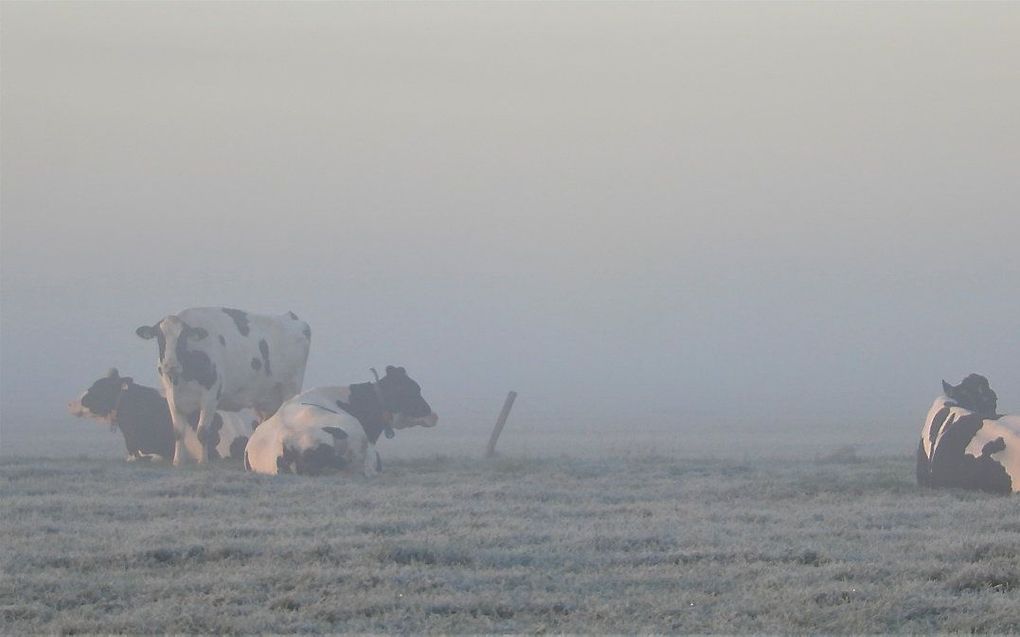 Zonsopkomst in Groot-Ammers. beeld ingezonden