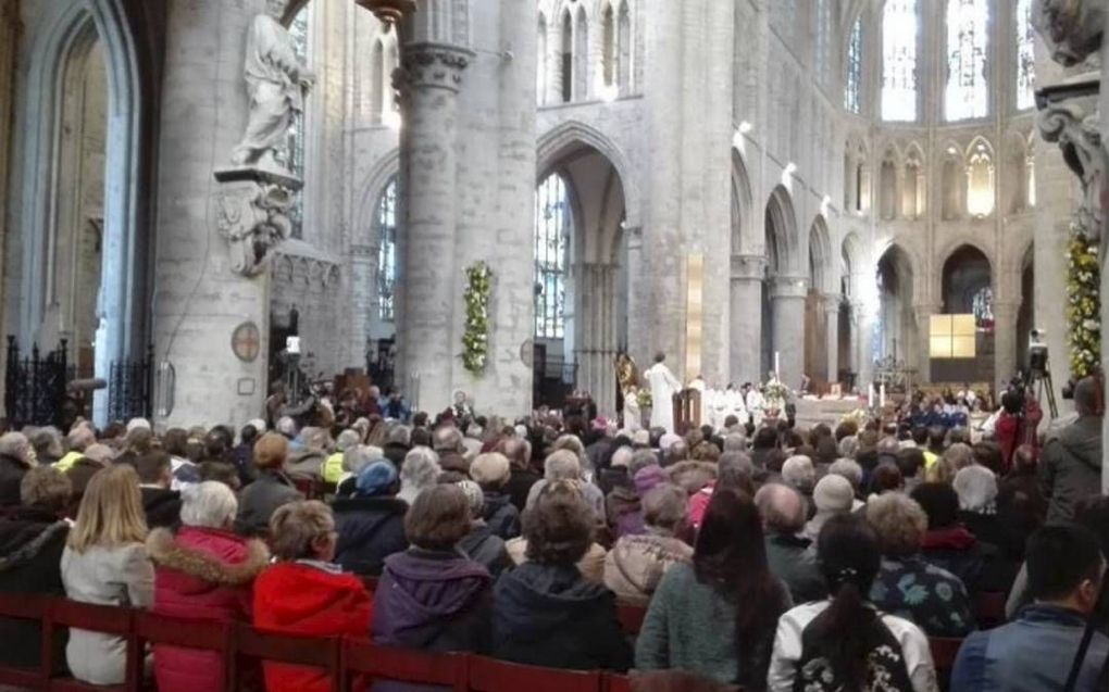 De St.-Michielskathedraal in Brussel  beeld Bruzz