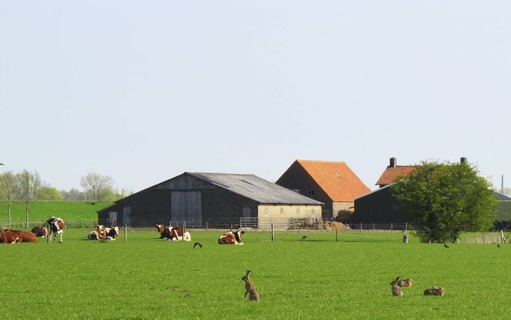 „Boeren zijn boodschappers van afhankelijkheid.” beeld iStock