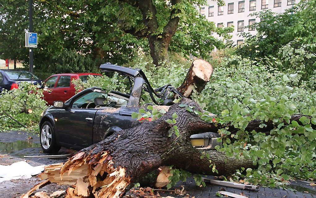 Op de Westersingel in Rotterdam is door hevig noodweer een boom op een auto gevallen. beeld ANP