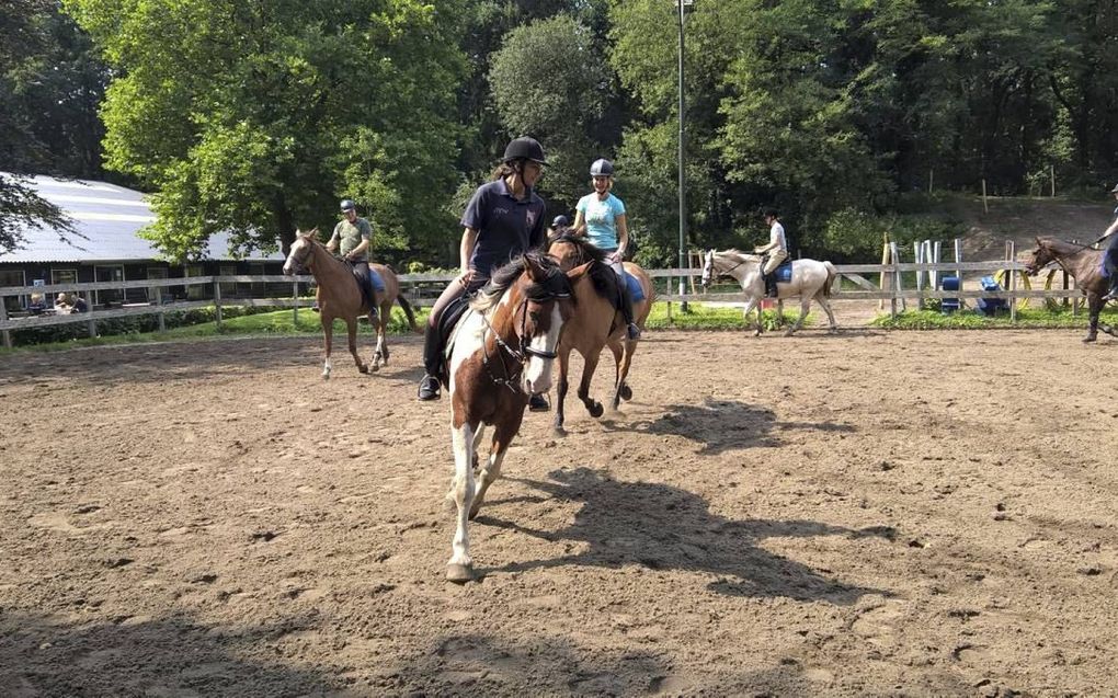 Paardrijles. beeld Stal Mansour