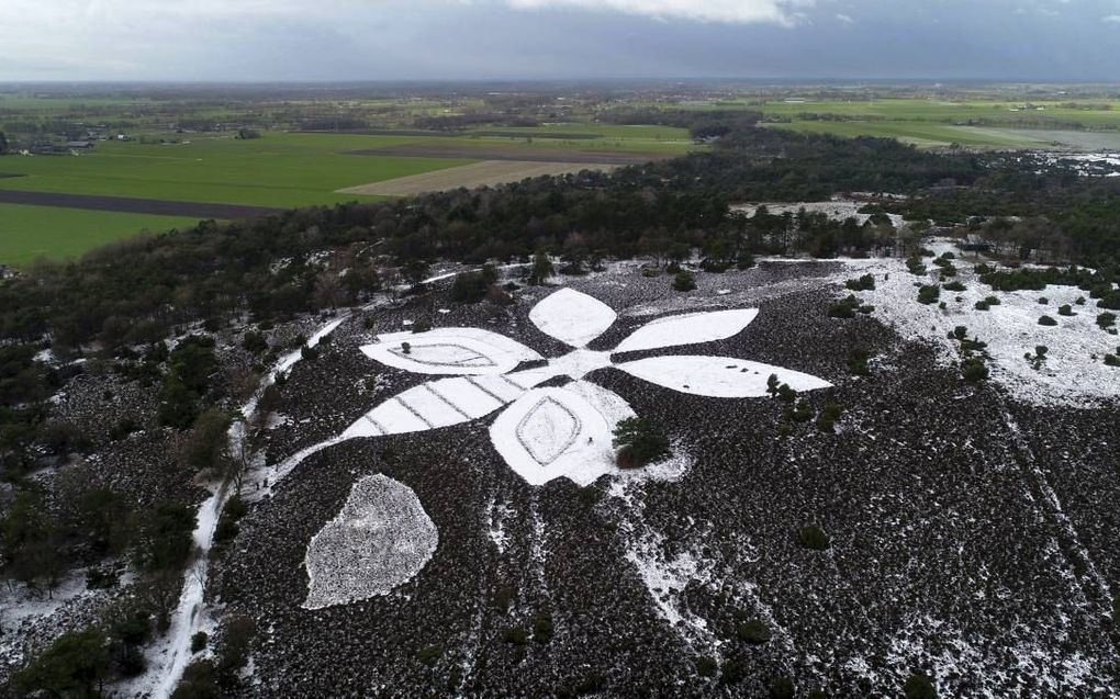 Landschap Overijssel bracht afgelopen winter, toen er sneeuw was gevallen, op de Lemelerberg de beeltenis van een bij aan, om aandacht te vragen voor de afnemende biodiversiteit. beeld ANP, Eric Brinkhorst