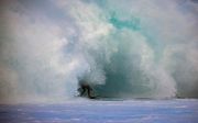 Een surfer op surflocatie Banzai Pipeline voor de kust van het Hawaïaanse eiland Oahu. beeld AFP, Brian Bielmann