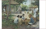 Nootmuskaatbedrijf op de Molukken. beeld Collectie Tropenmuseum
