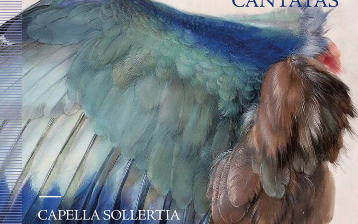 Op een cd-hoes van een opname met cantates staat een schildering met veren. In tinten blauw, blauwgrijs en bruin. Met een vleugje rood.