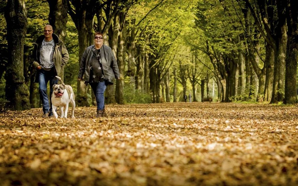 Mensen genieten van het lekkere herfstweer in het Amsterdamse Bos.  beeld ANP, Remko de Waal