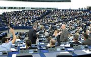 Het Europees Parlement in Straatsburg. beeld ANP