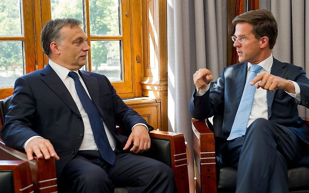 Minister-president Mark Rutte (r) en zijn Hongaarse collega Viktor Orbán in het Torentje (2011). beeld ANP, Marcel Antonisse