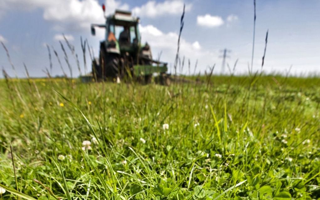 Boeren hebben soms zonder schriftelijke overeenkomst overheidsgrond in gebruik. Voor het aanvragen van subsidie moeten ze echter expliciete toestemming hebben van de eigenaar. beeld ANP, Koen Suyk