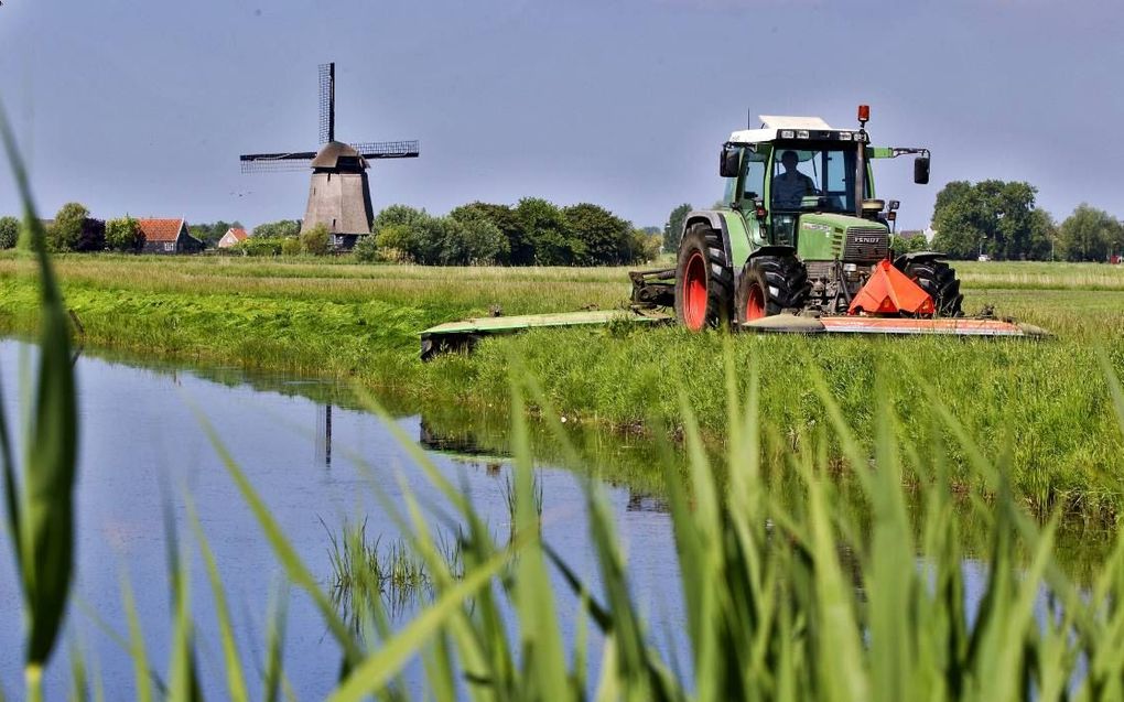 Verlaging van het grondwaterpeil in veenweidegebieden is gunstig voor de veehouders, maar ook de oorzaak van een hoge natuurlijke CO2-uitstoot. beeld ANP, Koen Suyk