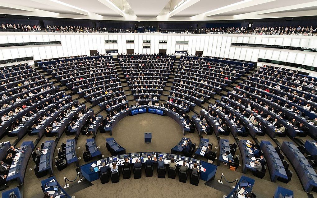 Vergadering van het Europees Parlement in Straatsburg. beeld EPA, Patrick Seeger