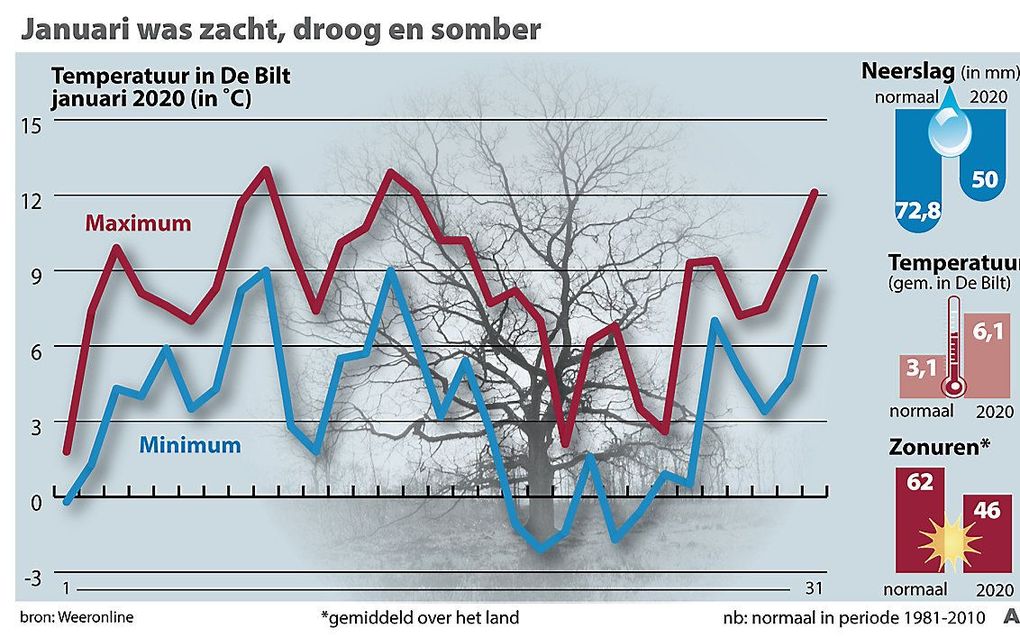 beeld ANP