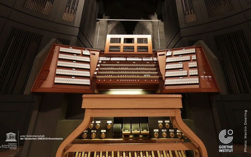 Organ