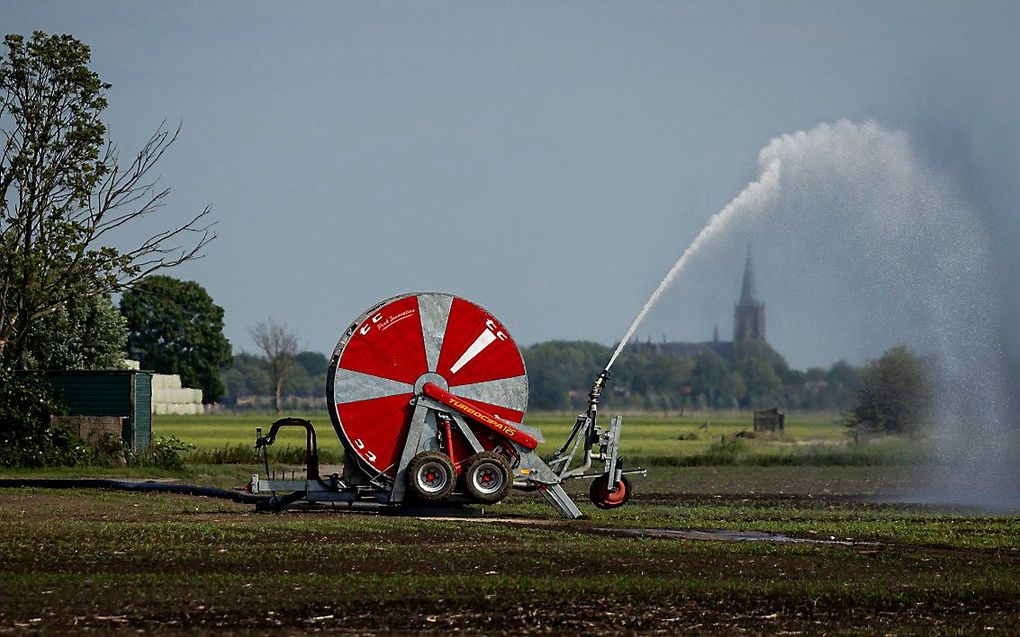 beeld ANP, Robin van Lonkhuijsen