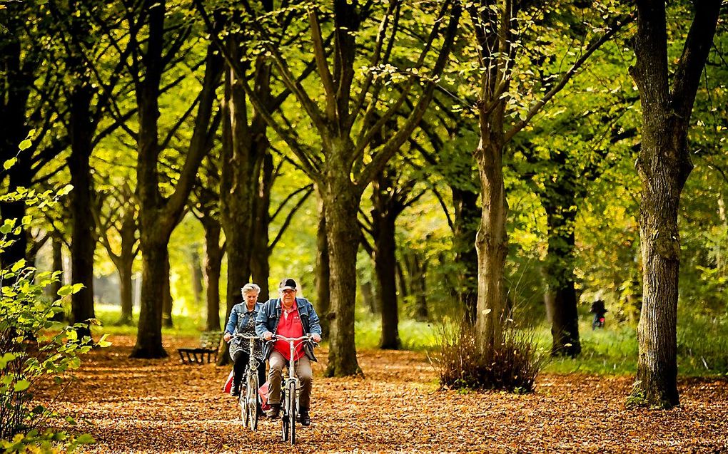 Fietsers in het Amsterdamse Bos. beeld ANP