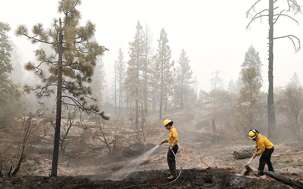 Brandweermannen blussen brandende sintels in Fresno County, Californië (VS). beeld AFP, Frederic J. Brown