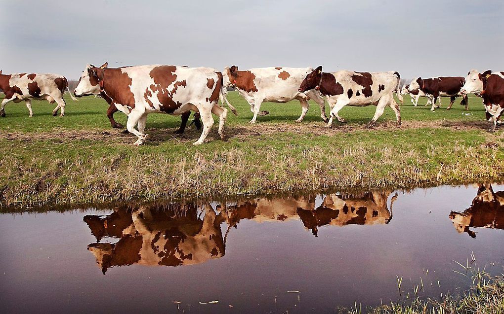 beeld ANP, Robin Utrecht