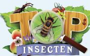 Insecten staan centraal in de nieuwe spaarcampagne van supermarktketen Albert Heijn.  beeld Albert Heijn