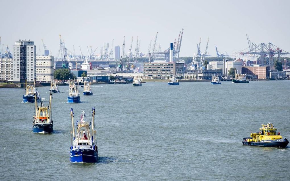 In augustus voeren tientallen vissersschepen vanaf zee naar Rotterdam om te protesteren tegen de aanlandplicht, een van de maatregelen waardoor de vissers zich in hun broodwinning bedreigd voelen. beeld ANP, Bart Maat