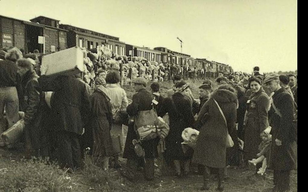 „’t Gaat ons denken en verstand te boven. Het moet ontzettend zijn, zo’n transport”, noteerde kruidenierster Elisabeth van Lohuizen uit Epe in de vroege zomer van 1942 in haar dagboek. Foto: transport vanuit kamp Westerbork. beeld Wikipedia